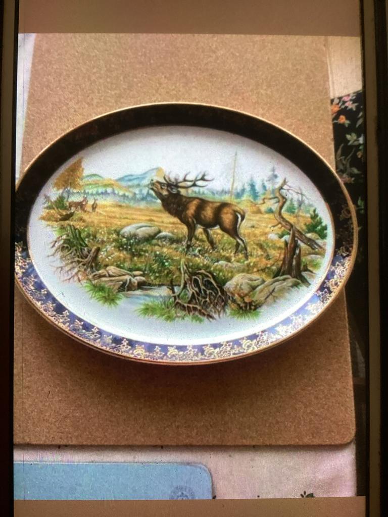 Schotse Souvenir Schaal met Hert - Nieuwstaat, Ophalen of Verzenden