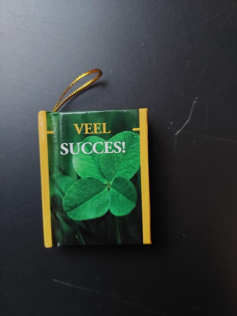 Mini Boekje "Veel Succes!" met Klavertje Vier, Ophalen of Verzenden, Zo goed als nieuw