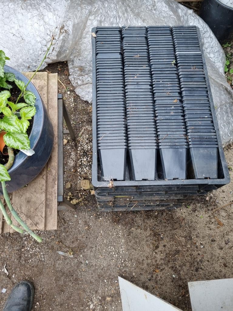 Potjes voor planten, Ophalen of Verzenden, Zo goed als nieuw, Kweekbak