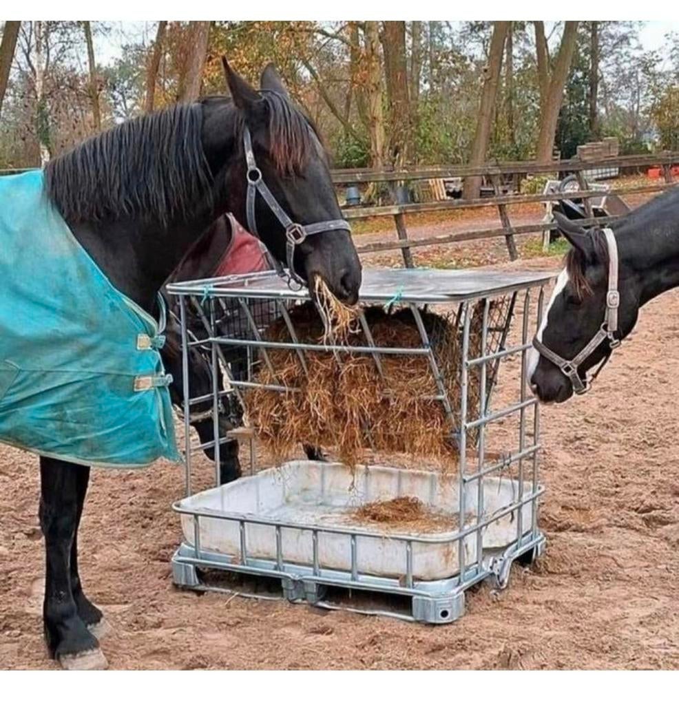 Hooiruif voor paarden of pony's, of andere dieren, Dieren en Toebehoren, Paarden en Pony's | Overige Paardenspullen, Ophalen, Overige soorten