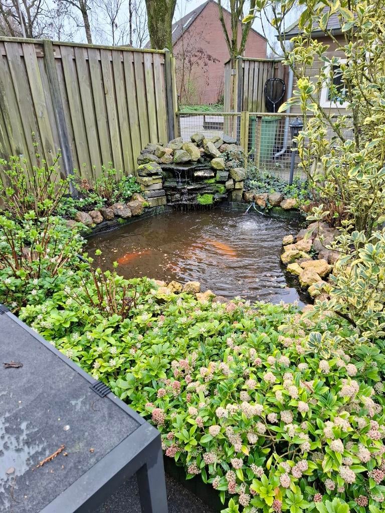 Te koop vijver, Ophalen of Verzenden, Gebruikt