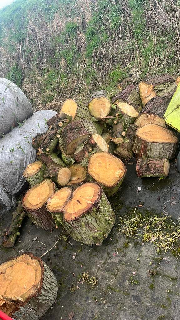 1 tot 1,5 m3 dennen hout- brandhout niet gekloofd, Tuin en Terras, Haardhout, Minder dan 3 m³, Ophalen