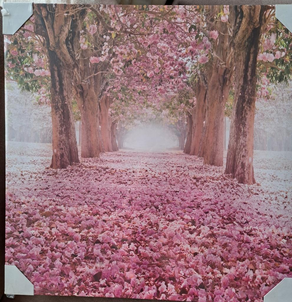 Schilderijen, Ophalen, 50 tot 75 cm, Zo goed als nieuw, Schilderij