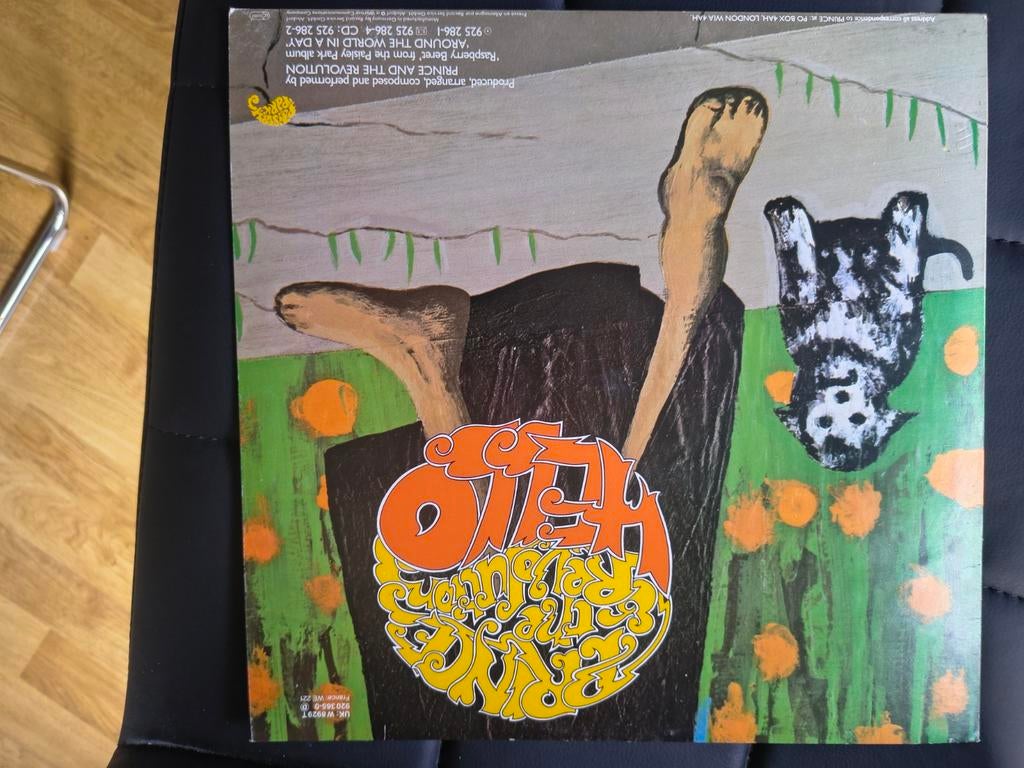 12 inch princep, Ophalen of Verzenden, Gebruikt, 12 inch