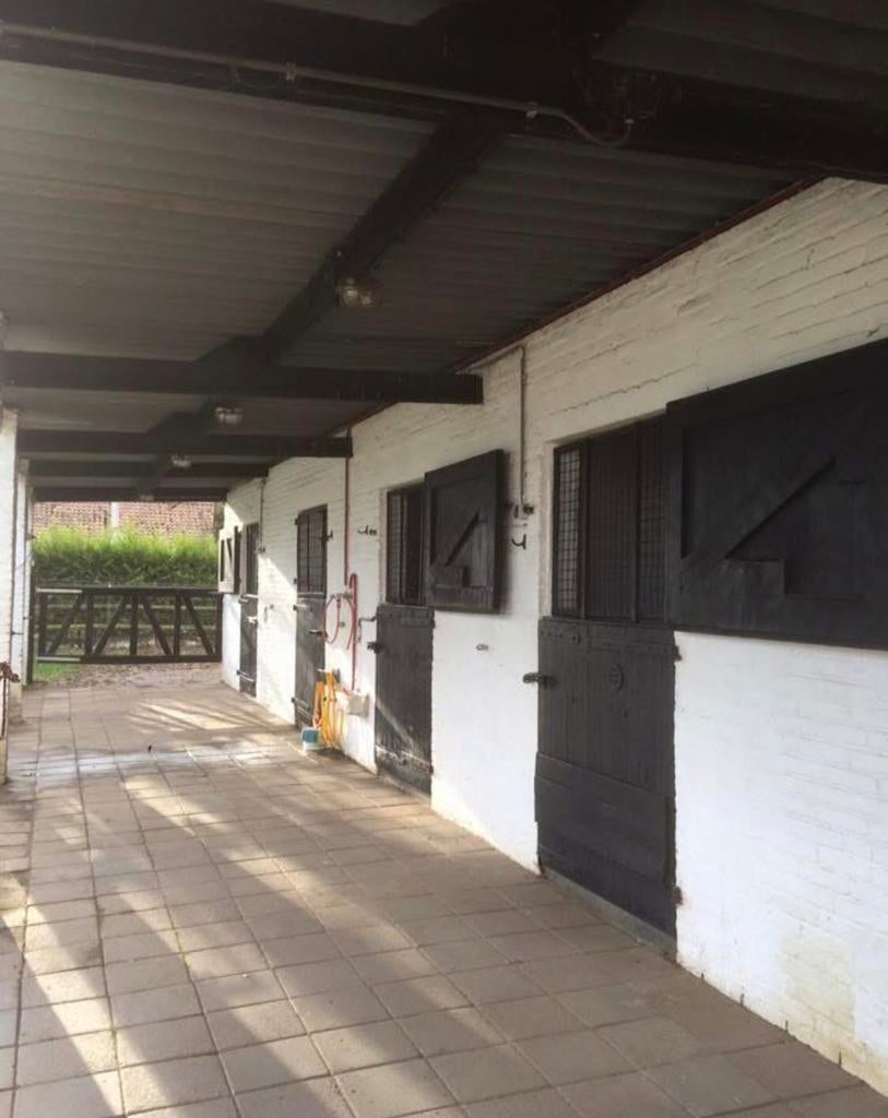 Te huur stal en weide