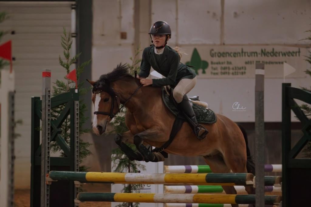 Super leuke getalenteerde pony, Dieren en Toebehoren, Pony's, Gechipt, Ruin, Springpony, 3 tot 6 jaar