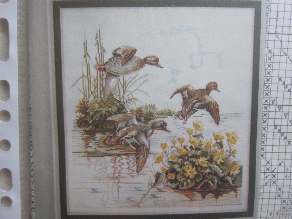 borduurpatroon eenden ganzen zwaan fazanten vos eekhoorn, Ophalen of Verzenden, Zo goed als nieuw, Handborduren, Patroon