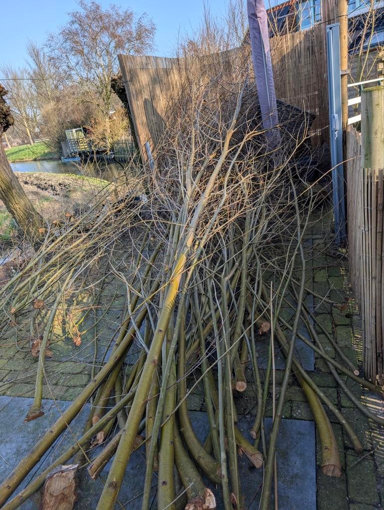 Wilgentakken gratis af te halen, Ophalen of Verzenden, Hout