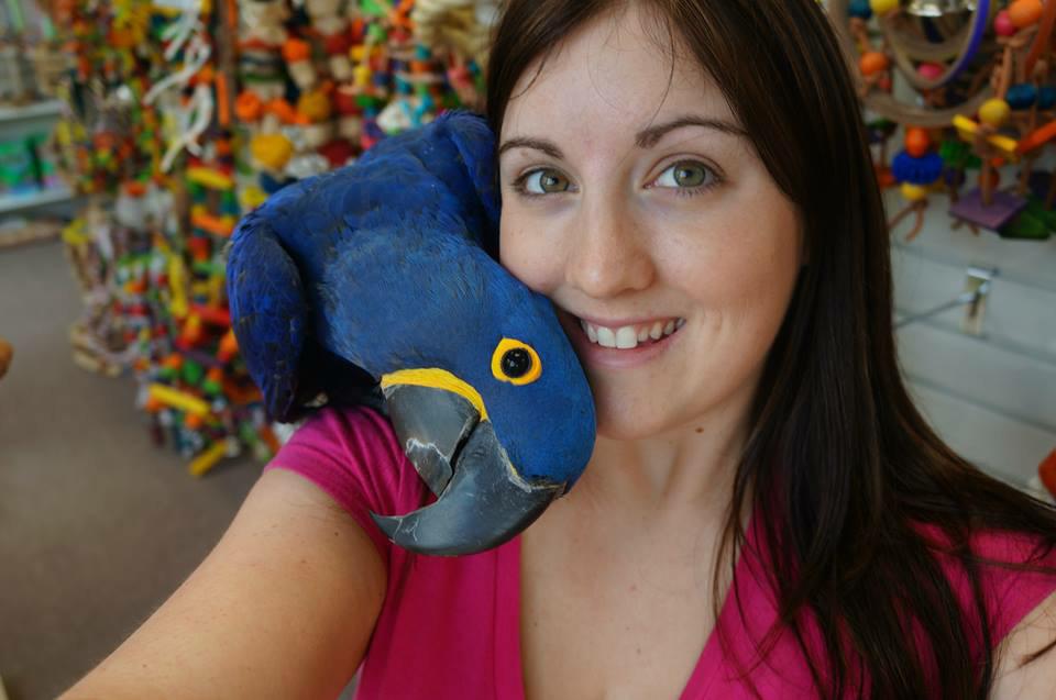 hyacinth arad, Dieren en Toebehoren, Vogels | Parkieten en Papegaaien, Meerdere dieren, Papegaai, Pratend