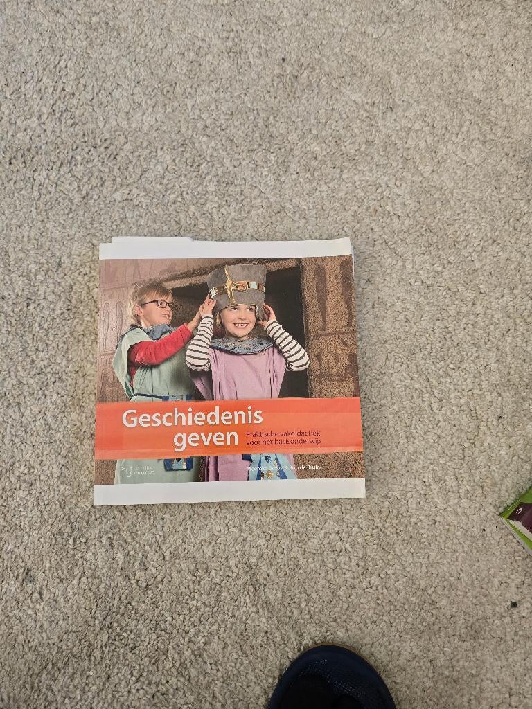 Geschiedenis geven	4e druk	Meereke bosua, Boeken, Zo goed als nieuw, HBO, Ophalen of Verzenden, Alpha