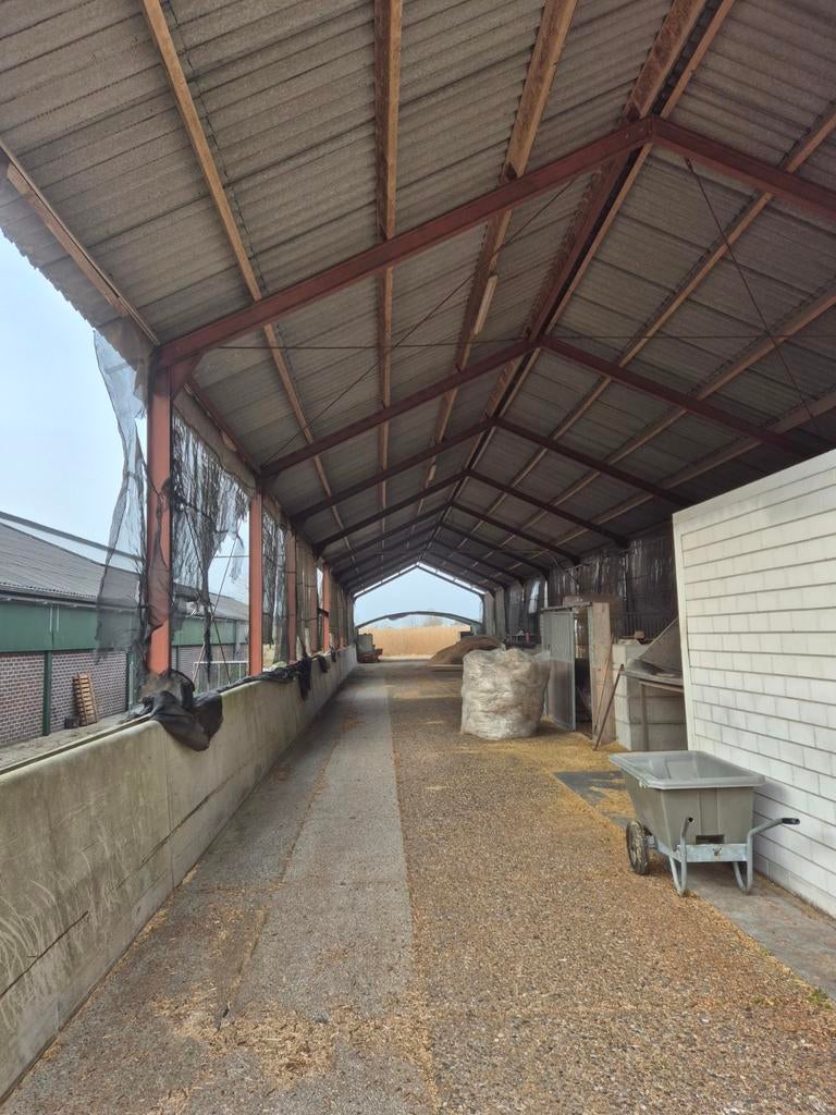 Schuur te koop 50x9.44 meter, Ophalen