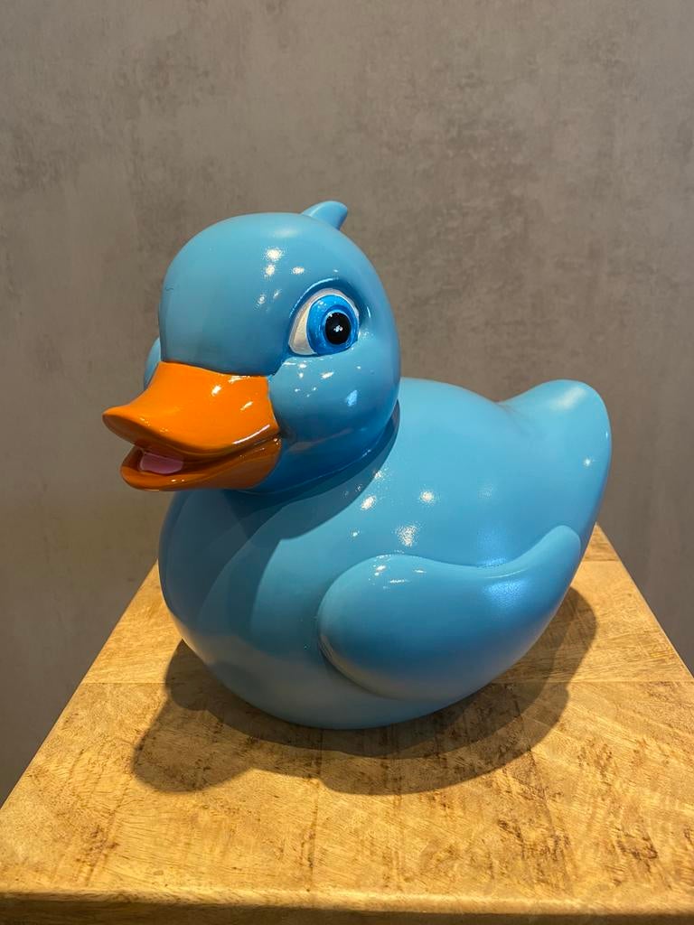 Badeend Blauw, Ophalen, Nieuw, Dier