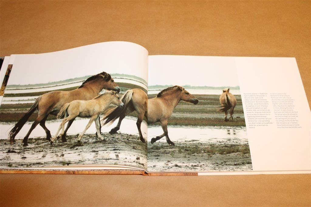 Fjord in Beeld — The Fjord in Focus Fotoboek, Ophalen of Verzenden, Zo goed als nieuw, Katten