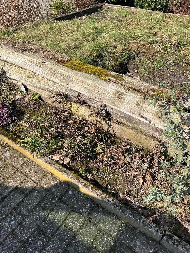 Gratis bielzen, Tuin en Terras, Bielzen en Borders, Ophalen, 100 tot 200 cm, Biels, Zo goed als nieuw