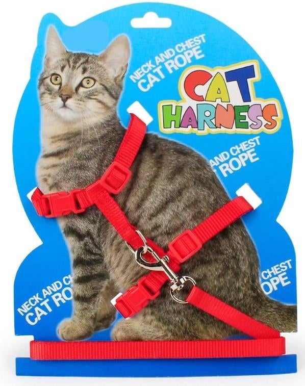 katten harnas de laatste voor € 5,00, Ophalen of Verzenden, Nieuw