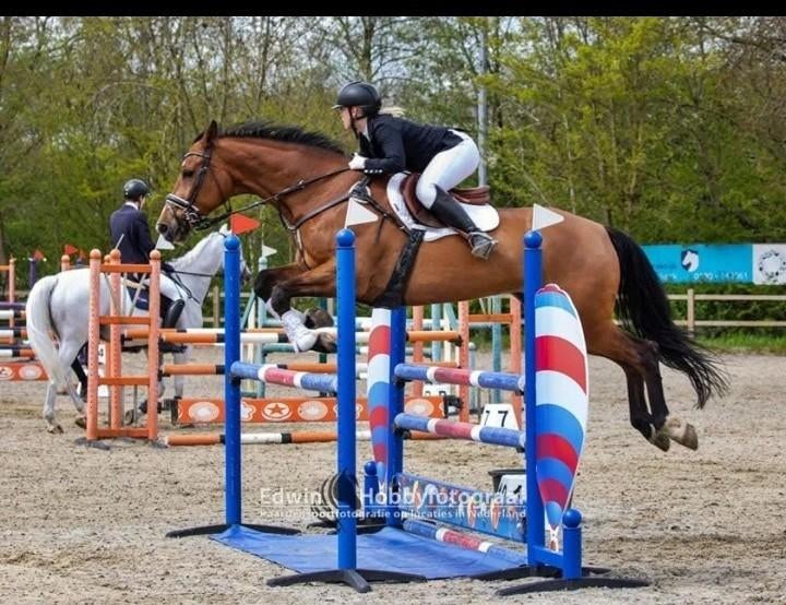 Verkoopbemiddeling doorrijden en zadelmak maken.