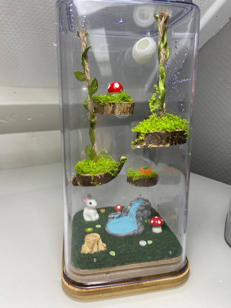 Springspin terrarium bos, Dieren en Toebehoren, Insecten en Spinnen, Spin of Schorpioen
