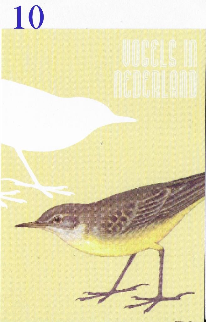 Ansichtkaart Vogels in Nederland Gele Kwikstaart ( B3936), Verzenden, 1980 tot heden, Ongelopen
