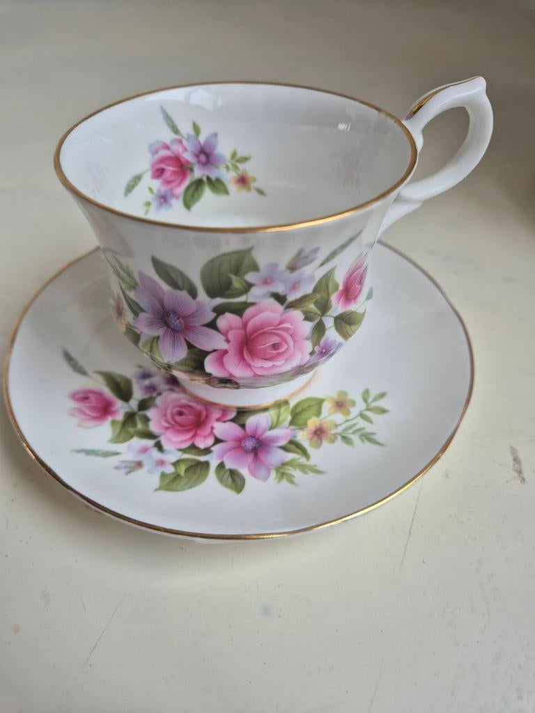Springfield bone china porselein, Ophalen of Verzenden, Zo goed als nieuw, Porselein, Kop en/of schotel