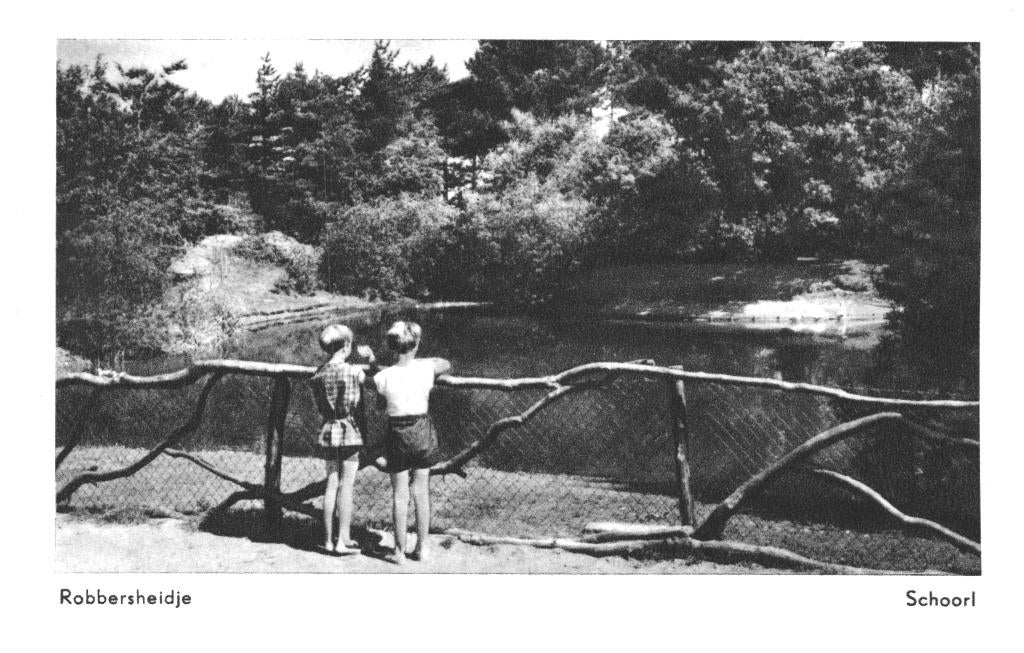 965318 Schoorl Robbersheidje NH 1963 Gelopen met postzegel, Verzamelen, Ansichtkaarten | Nederland, Gelopen, Noord-Holland, 1960 tot 1980