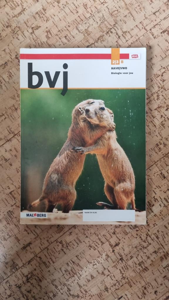 bvj  2/3 havo/vwo, Boeken, Ophalen of Verzenden, HAVO