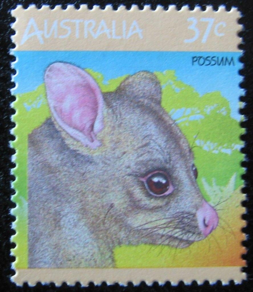 AUSTRALIË 96 - Dieren: zoogdieren (possum), Ophalen of Verzenden, Postfris, Dier of Natuur