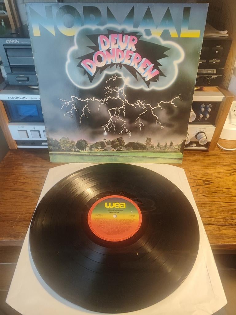 Normaal - Deurdonderen LP, Ophalen of Verzenden, Gebruikt, 12 inch, Overige genres