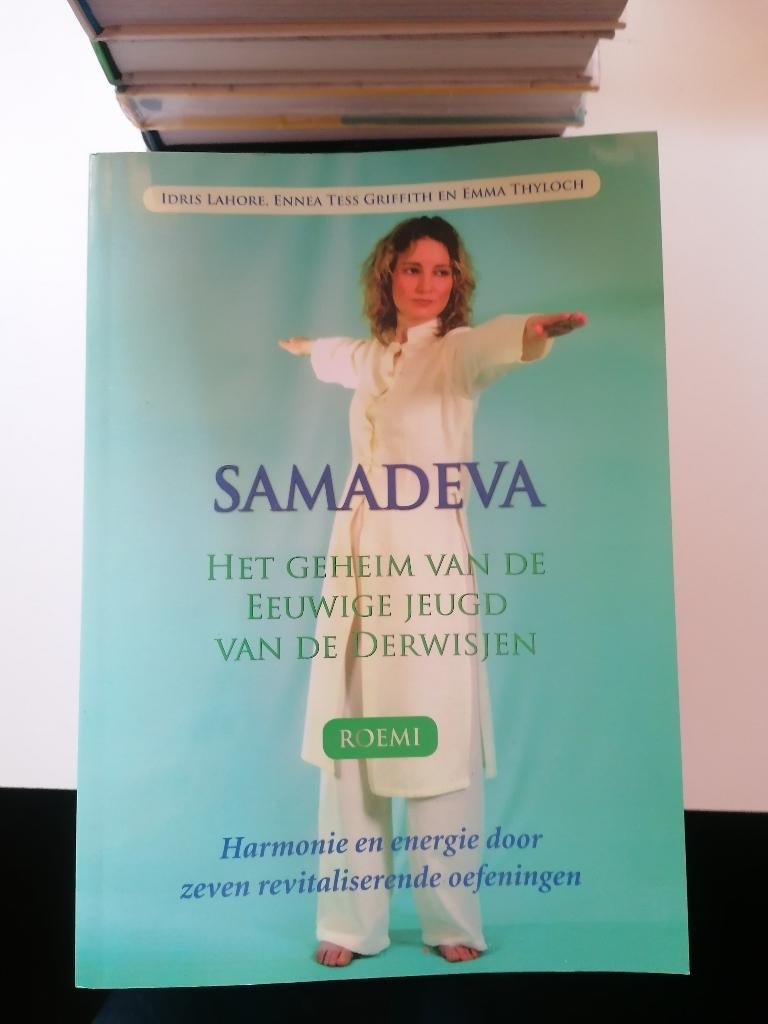 sleutels, Verzenden, Zo goed als nieuw, Idris lahore / ennea tess griffith / emma thyloch SCHORS