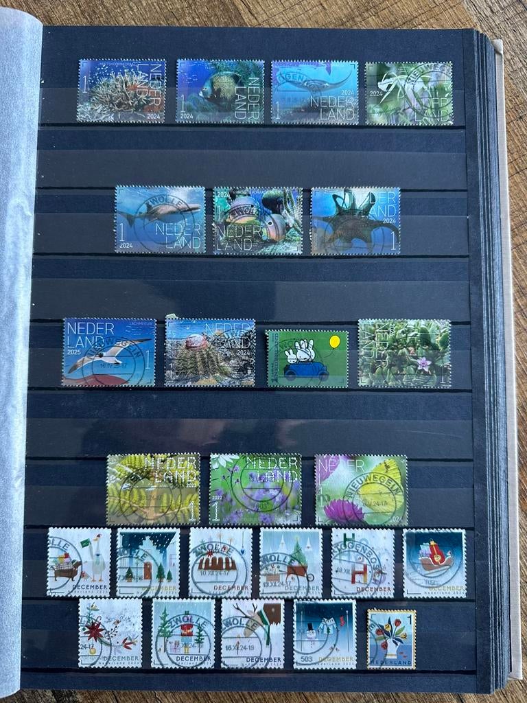 Nederland 25, Verzenden, Nederland