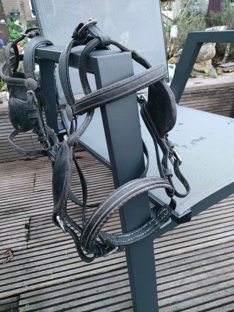 Ideal eurotech 2span pony tuig om te bouwen naar enkelspan., Dieren en Toebehoren, Ophalen of Verzenden, Gebruikt, Overige soorten