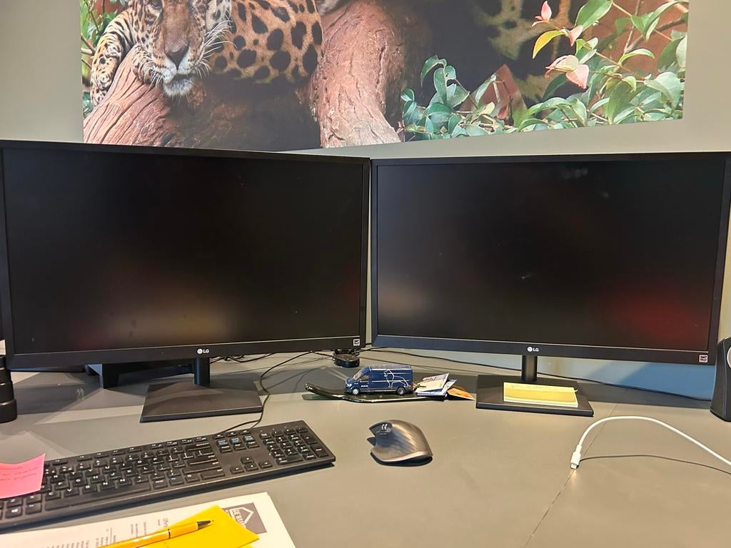 LG beeldscherm - 2x 27 inch, Computers en Software, Monitoren, Kantelbaar, Full HD, Ophalen of Verzenden, 61 t/m 100 Hz