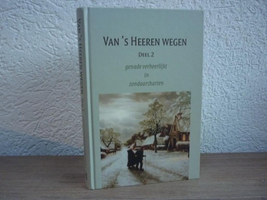 Van 's Heeren wegen - Gods genade verheerlijkt, Ophalen of Verzenden, Gelezen, Christendom | Protestants