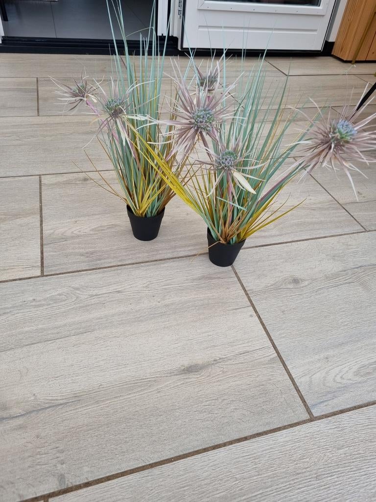 Kunstplanten van Intratuin, 2 stuks, Ophalen