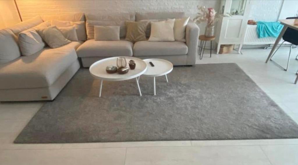 IKEA Stoense tapijt 200x300 cm lichtgrijs, Ophalen, Gebruikt, 200 cm of meer, Grijs