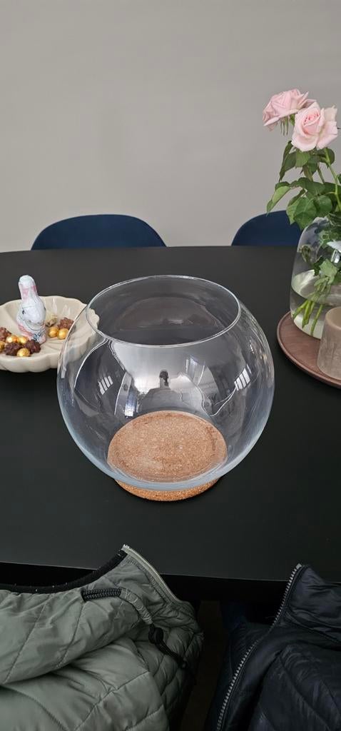 Te koop viskom 15 liter, Dieren en Toebehoren, Vissen | Aquaria en Toebehoren, Ophalen, Leeg aquarium