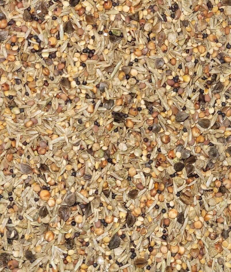 V123 Gezondheidszaad 'Wilde Zaden', Dieren en Toebehoren, Vogels | Overige Vogels, Wildzangvogel, Meerdere dieren, Geringd