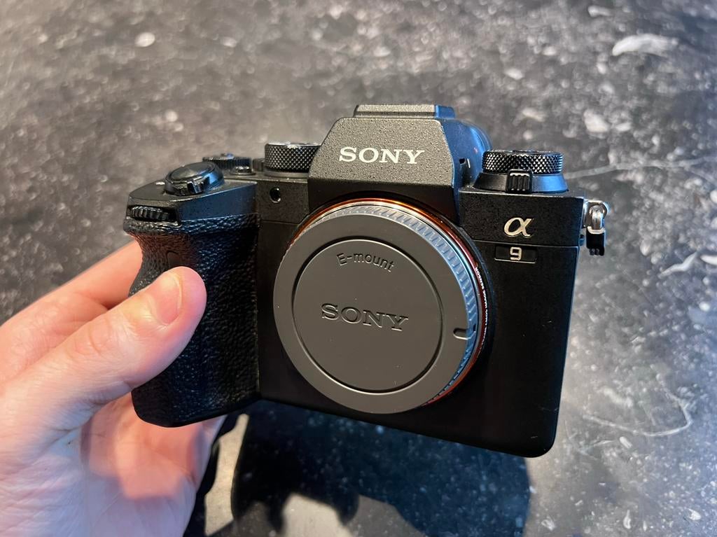 Sony A9 ii, Gebruikt, Compact, Ophalen of Verzenden, Sony