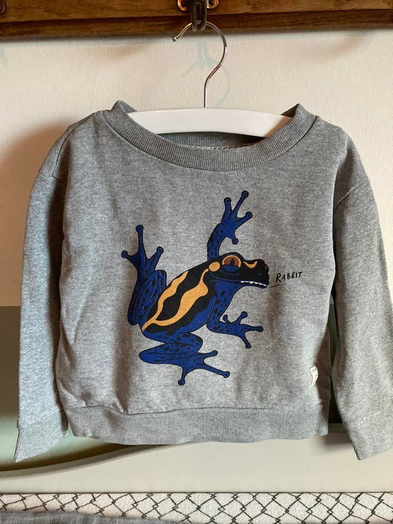 Sissy-boy grijze trui mt 98/104 met kikker, Ophalen of Verzenden, Zo goed als nieuw, Jongen, Trui of Vest