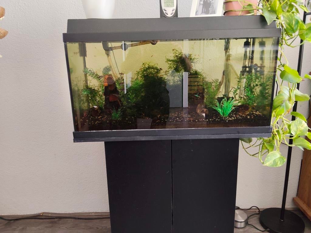 Aquarium, Dieren en Toebehoren, Vissen | Aquaria en Toebehoren, Ophalen