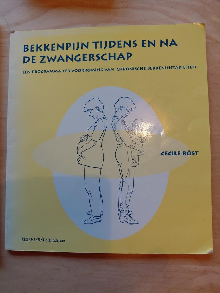 Bekkenpijn tijdens en na de zwangerschap - Cecile Röst, Boeken, Ophalen of Verzenden, Gelezen, Zwangerschap en Bevalling, Cecile Röst