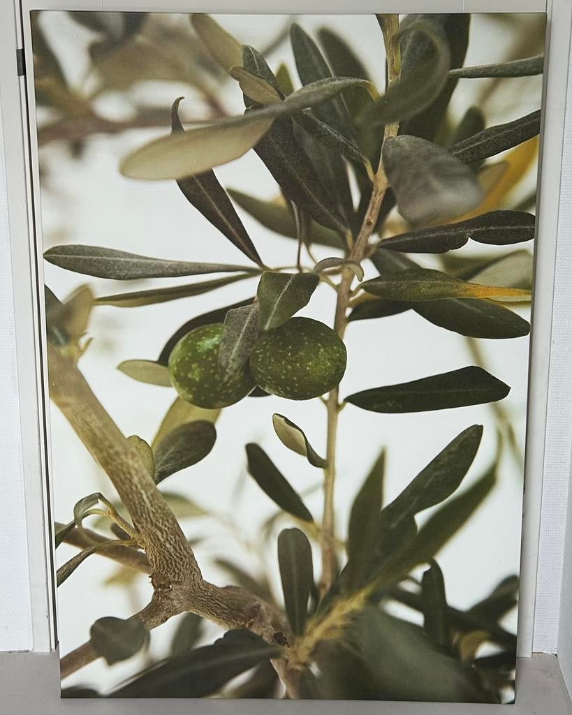 Ikea Pjatteryd Canvas Olijf 78x118cm in zeer goede staat, Ophalen, Zo goed als nieuw, Schilderij, 100 tot 125 cm