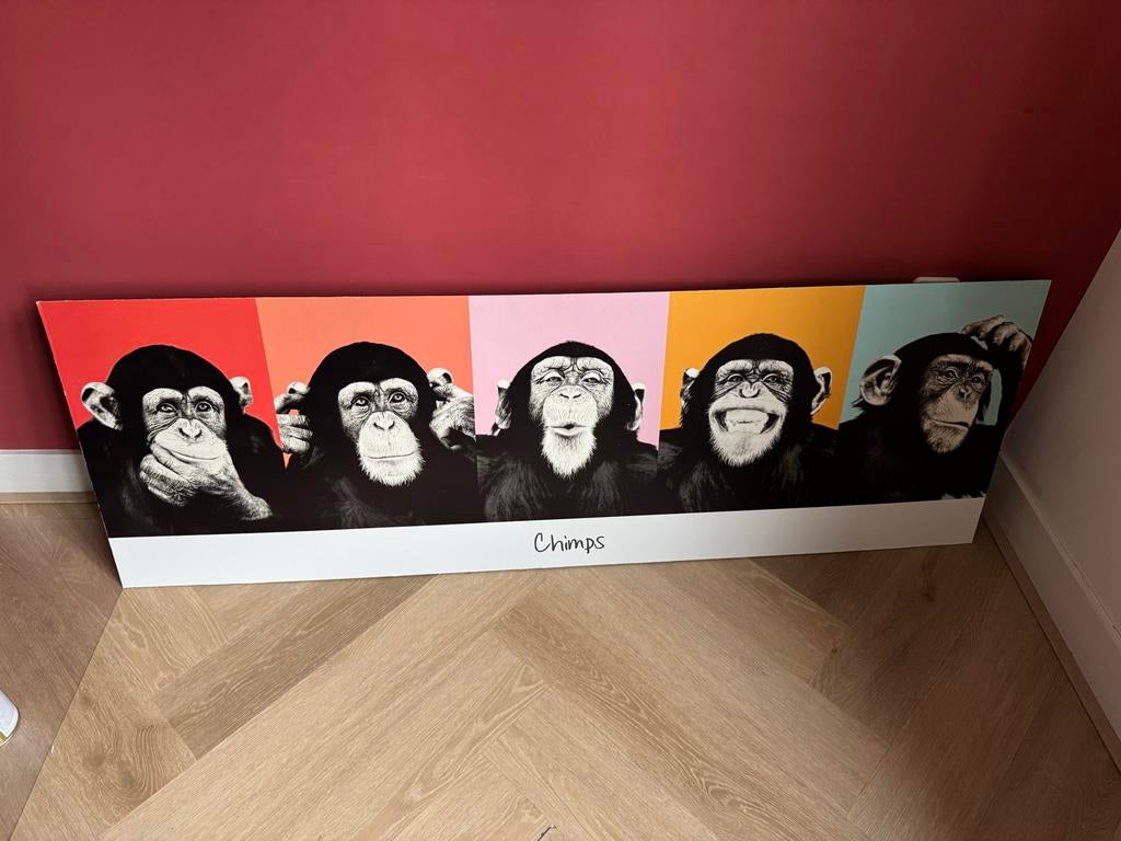 Pop art - Chimps, Ophalen