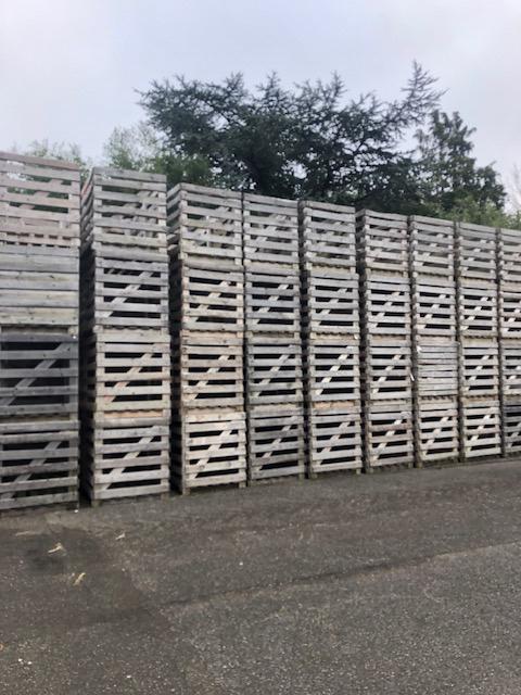 Stevige grote houten kisten, Doe-het-zelf en Verbouw, Kratten en Dozen, Ophalen, 100 cm of meer, 60 cm of meer, Zo goed als nieuw