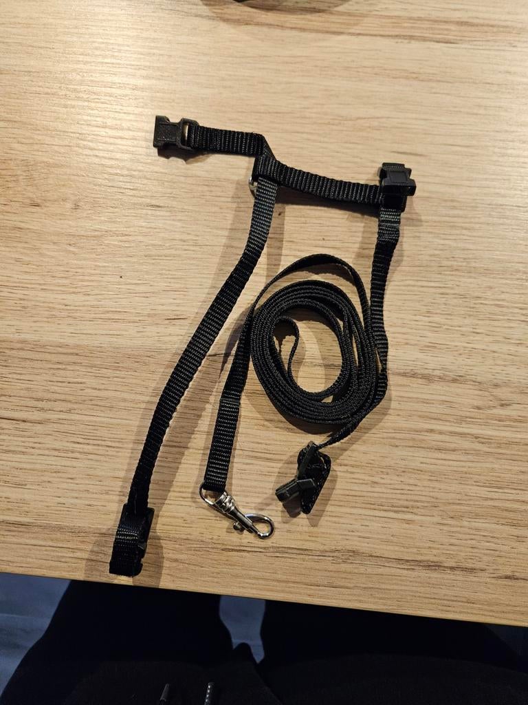 Verschillende katten /kitten/ konijnen tuigjes., Ophalen of Verzenden, Nieuw