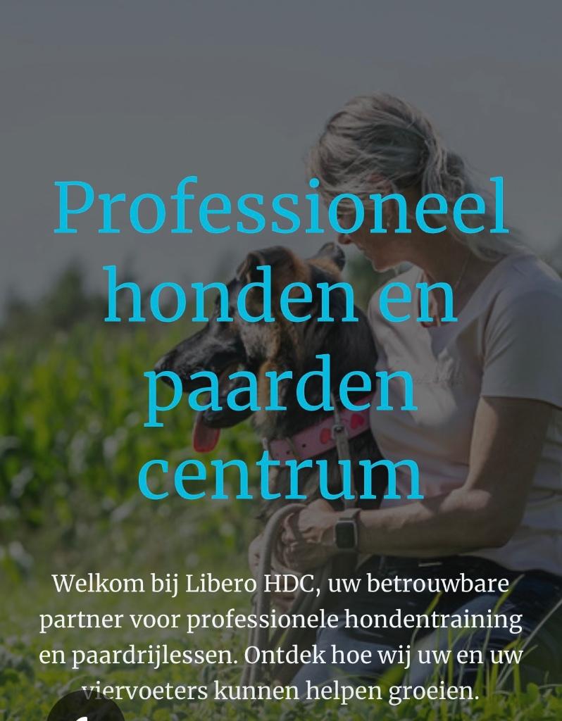 Paardrijlessen kinderen en volwassenen, Diensten en Vakmensen, Dieren | Paarden | Verzorging, Oppas en Les, Paardrijles of Ponykampen