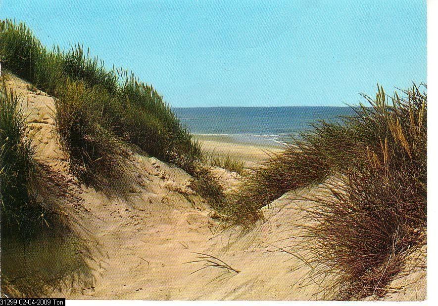 Ansichtkaart	Noordzeestrand	Duinen, strand en zee, Verzenden, 1960 tot 1980, Gelopen, Zeeland
