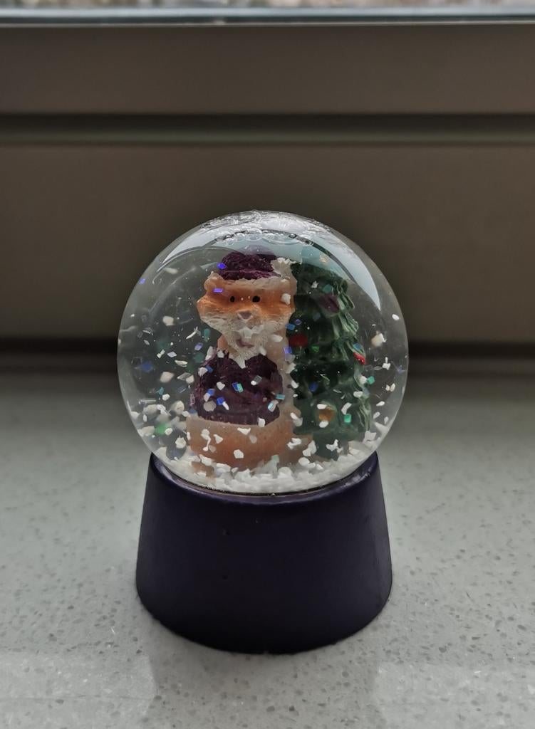 Mini hamster sneeuwbal, Ophalen of Verzenden, Nieuw