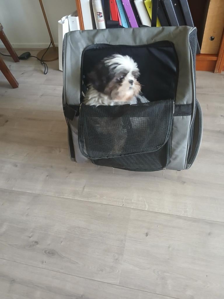 Te koop hondenreiswagen, Dieren en Toebehoren, Honden-accessoires, Ophalen, Zo goed als nieuw