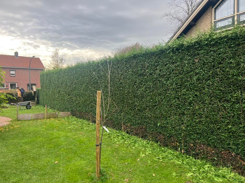 Tuinman hovenier klusjesman, Tuin en Terras, Gras en Kunstgras, Zo goed als nieuw, 20 m² of meer, Ophalen of Verzenden