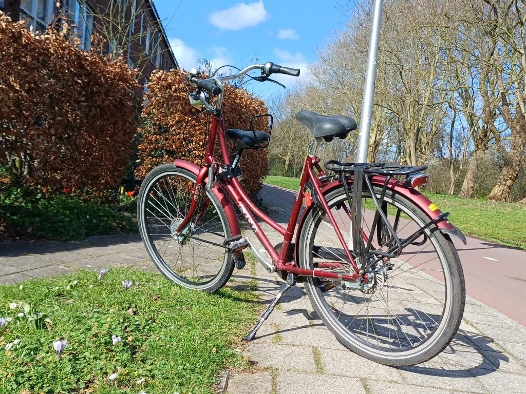 moederfiets Azor Ameland metallic rood, Versnellingen, Ophalen, Overige merken, 53 tot 56 cm